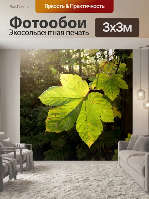 Фотообои Лист