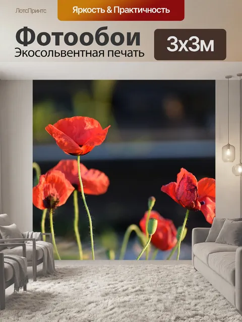 Фотообои Красный букет маков