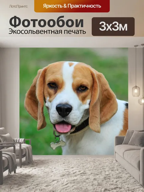 Фотообои Домашний питомец