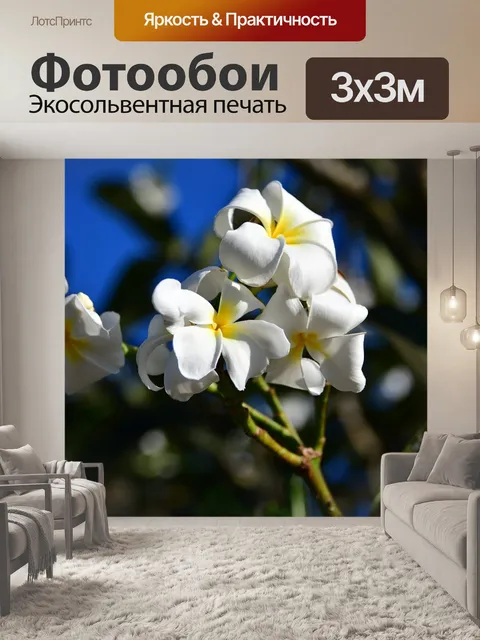 Фотообои Белый