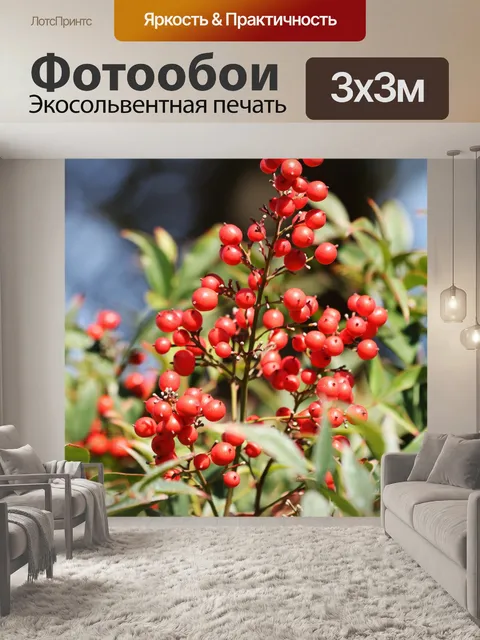 Фотообои Красные ягоды нандина