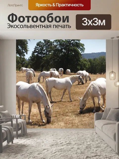 Фотообои Лошади