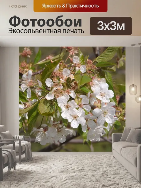 Фотообои Вишня