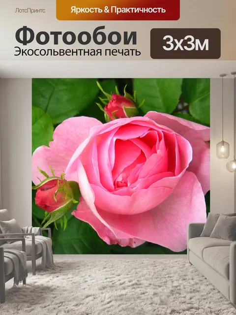 Фотообои Роза