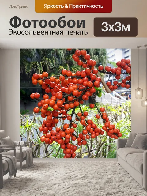 Фотообои Красное пальмовое дату фруктов