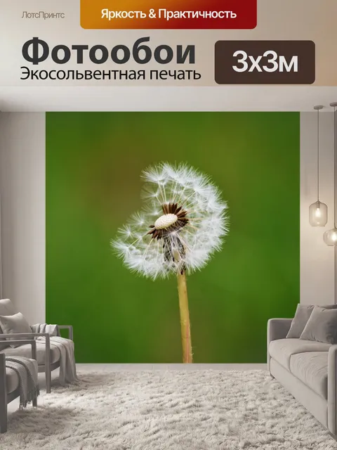 Фотообои Одуванчик