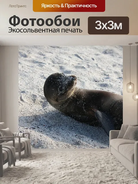 Фотообои Галапагосские острова