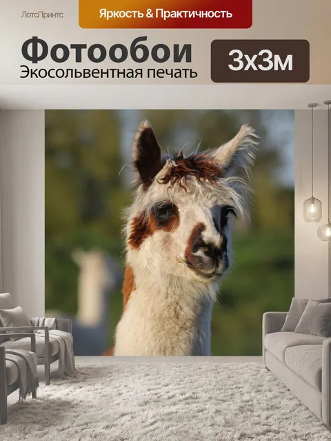 Фотообои Альпака