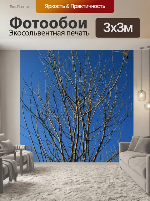Фотообои голые ветви против голубого неба