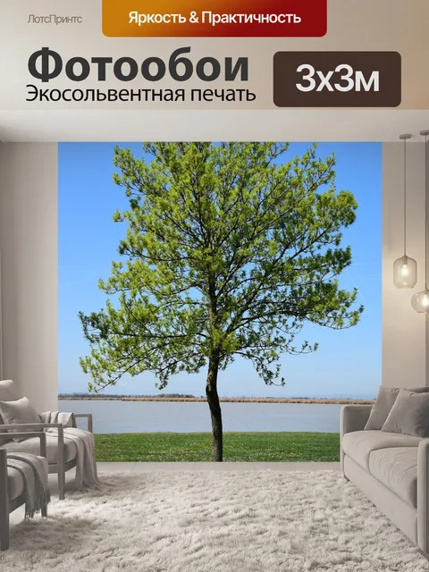 Фотообои Одиночное дерево am zicksee