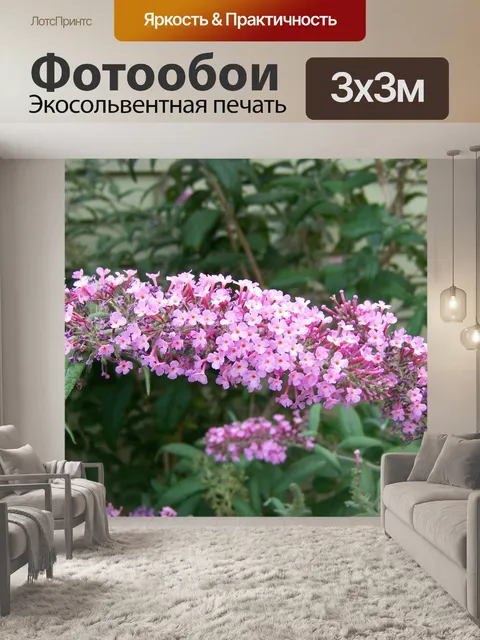 Фотообои Бабочка буш