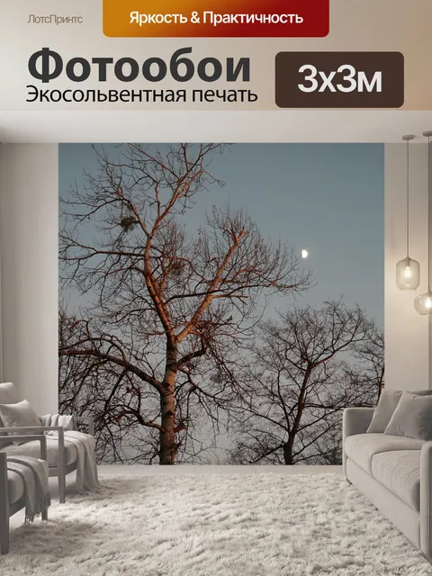 Фотообои Свет луны