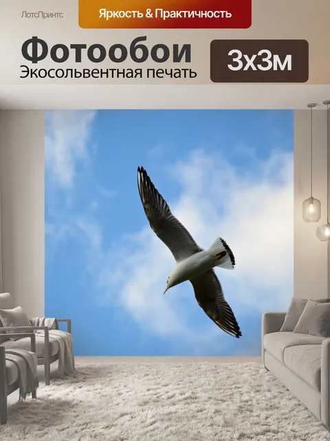 Фотообои Чайка