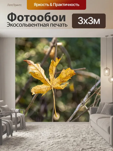 Фотообои Осенний лист