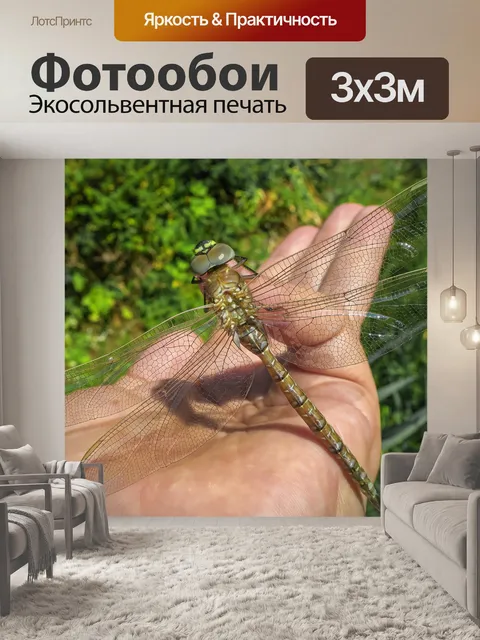 Фотообои Стрекоза