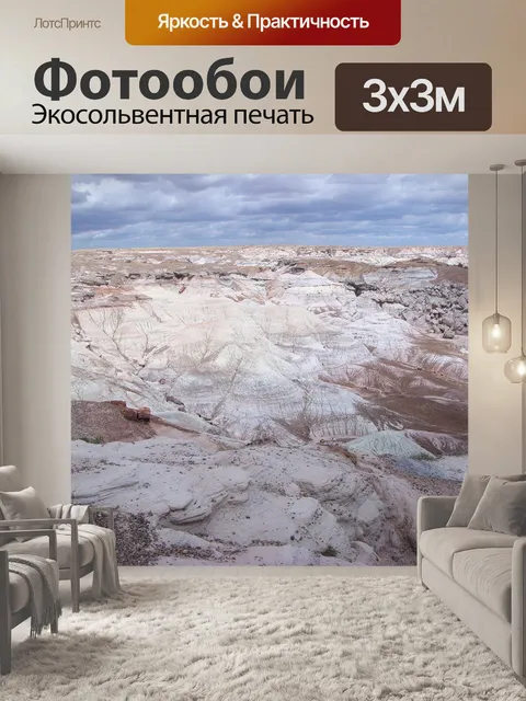 Фотообои Окаменевший лес национальный парк