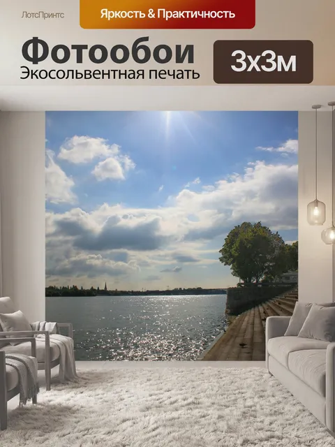 Фотообои Рейн