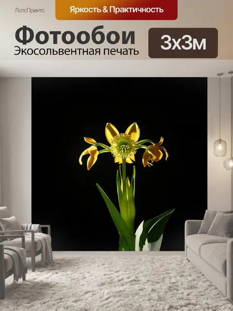 Фотообои фритиллярия, изящный и хрупкий цветок с яркими тычинками, сфотографированный в технике фонового освещения с…