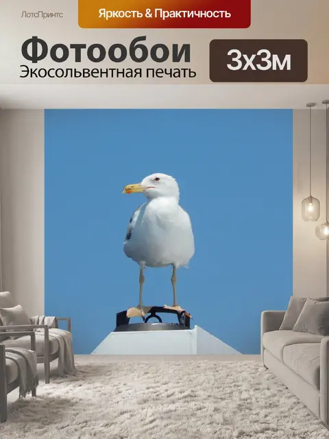 Фотообои Птица