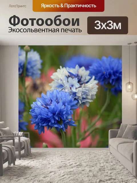 Фотообои Синие васильки