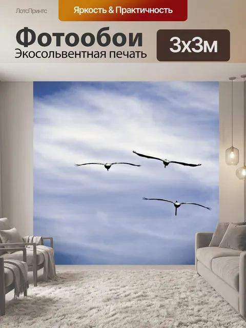 Фотообои Три птицы летают