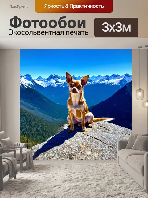 Фотообои чихуахуа, сидящий на горной скале с видом на заснеженные вершины