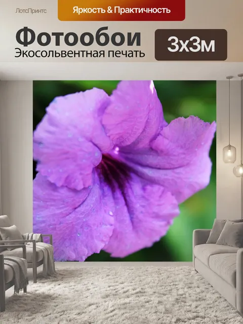 Фотообои Фиолетовый цветок