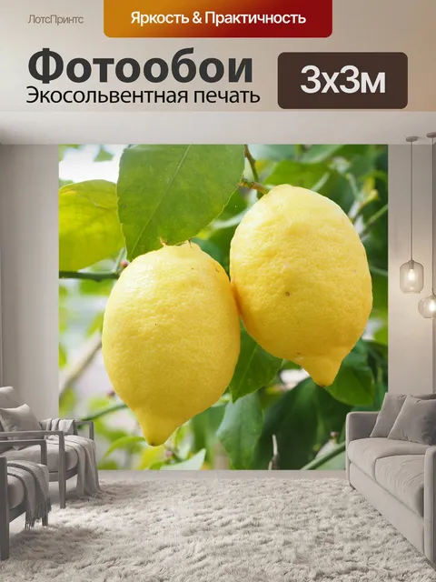 Фотообои Лимон