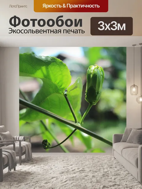 Фотообои Фрукты