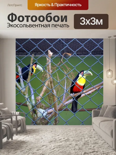 Фотообои Туканы