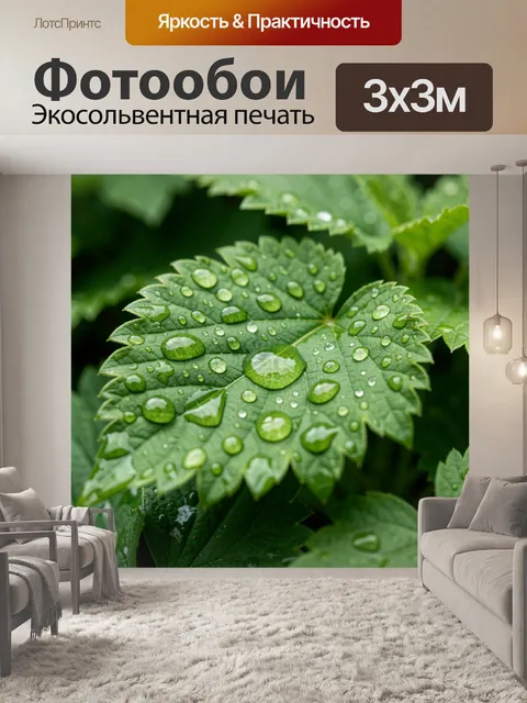 Фотообои Зеленый лист с каплями росы