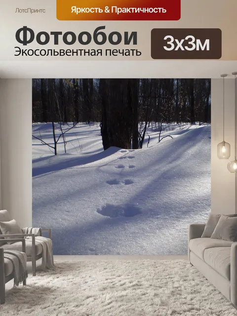 Фотообои Trail в снегу