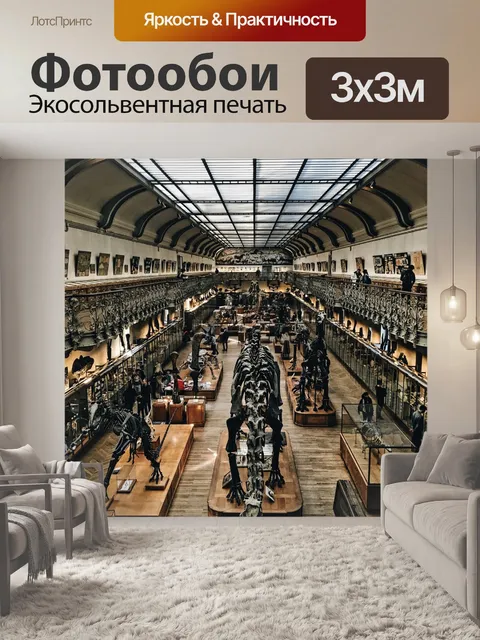 Фотообои Музей