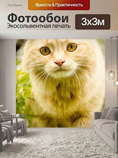 Фотообои Кошка