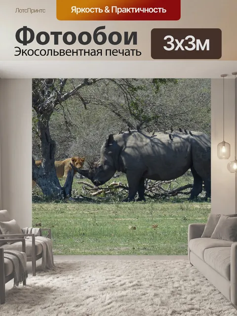 Фотообои Южная африка
