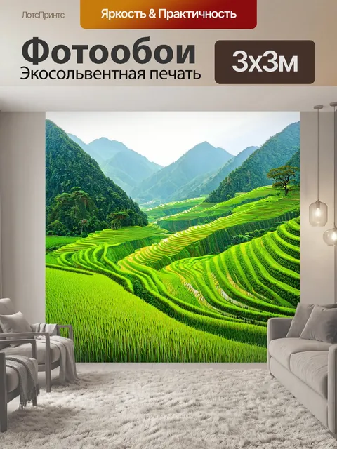 Фотообои уютная долина с террасами риса