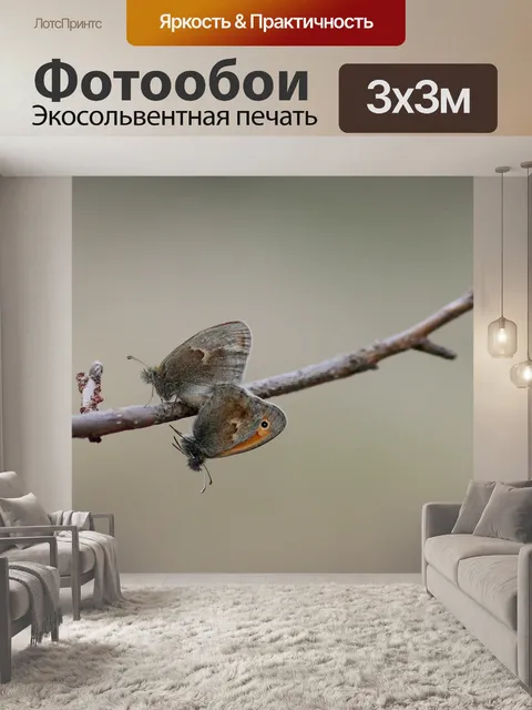 Фотообои Бабочки