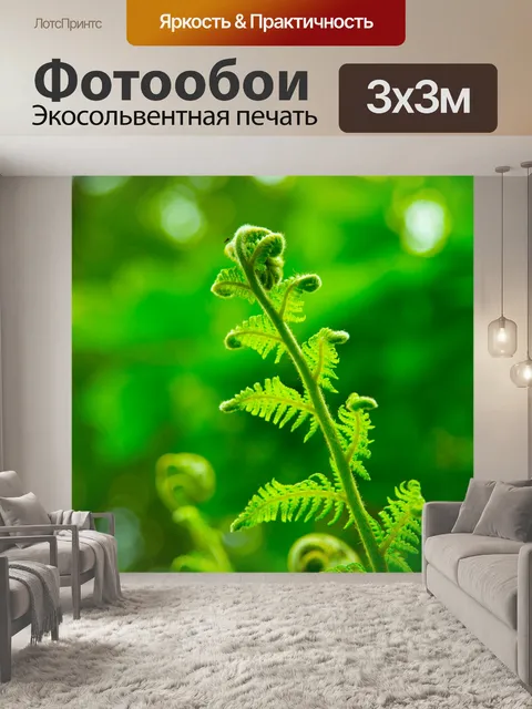 Фотообои папоротник