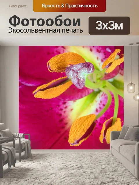 Фотообои Лили
