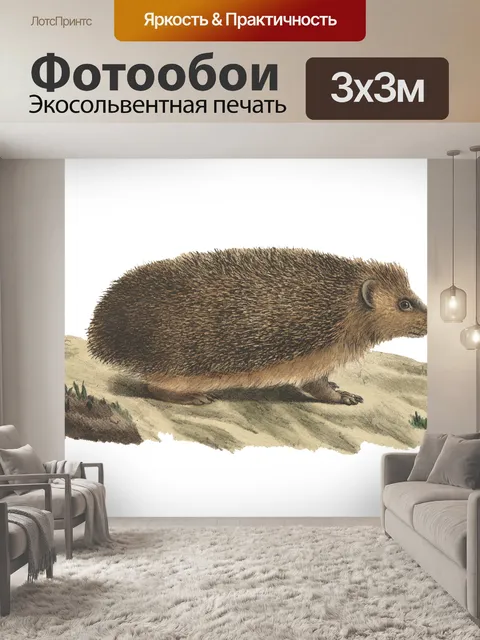 Фотообои Ежик Винтаж Искусство Иллюстрация