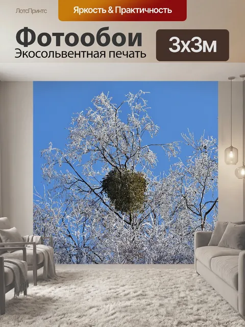 Фотообои Голубое небо