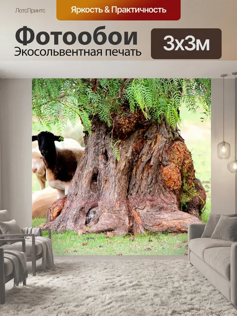Фотообои Овец