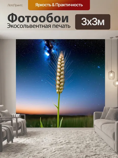 Фотообои колосок, развивающийся на фоне яркого звездного неба, с детализированными звездами и млечным путем…