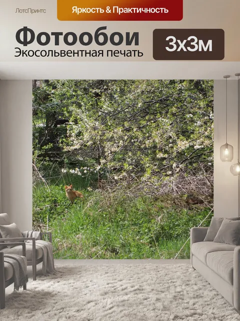 Фотообои Рыжий Кот
