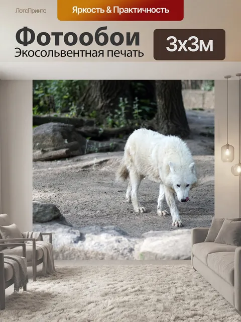 Фотообои Polarwolf