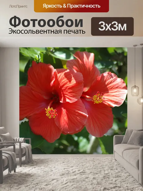 Фотообои Красный цветы гибискуса
