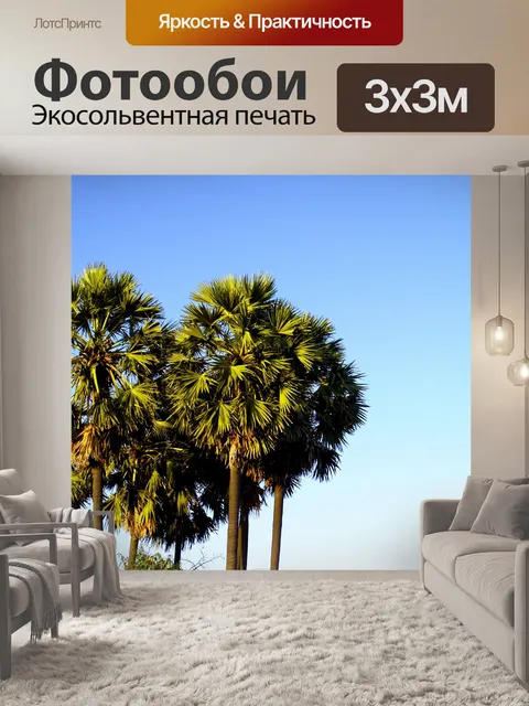 Фотообои пальмы