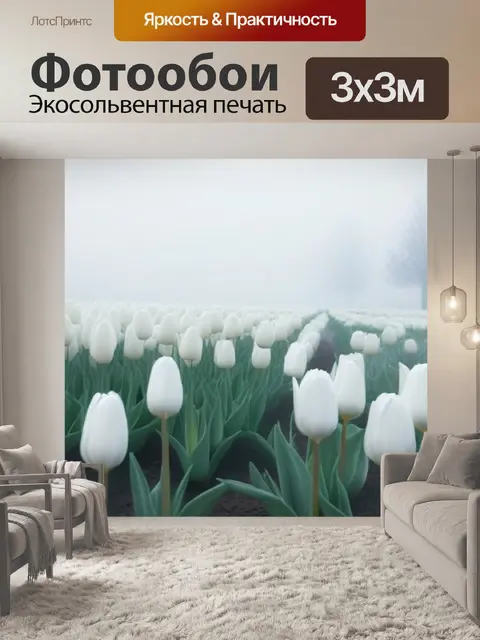 Фотообои белоснежные тюльпаны в утреннем тумане