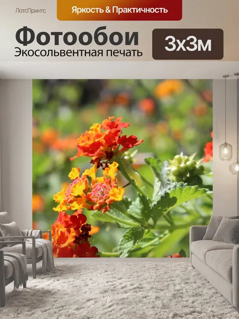 Фотообои Весенние цветы Лантана