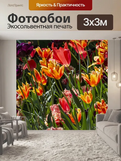 Фотообои оранжевые тюльпаны